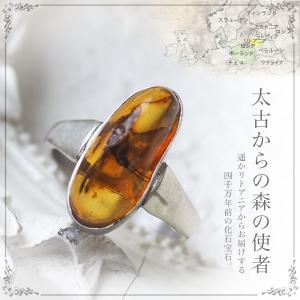 ブルーアンバー 虫入り琥珀 複数虫入り 希少 天然石 パワーストーン ブルーアンバー 虫入り琥珀 複数虫入り 希少 天然石 パワーストーン