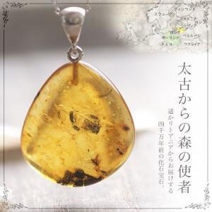 天然琥珀 虫入り琥珀 こはくルース インセクトアンバー パワーストーン
