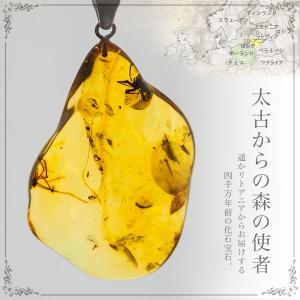天然琥珀 虫入り琥珀ネックレス 送料無料 パワーストーン 天然石