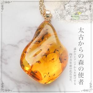 虫入り琥珀ネックレス K14PinkGold 送料無料 コレクションランク
