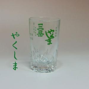 焼酎グラス お湯割り「三岳」の詳細画像1