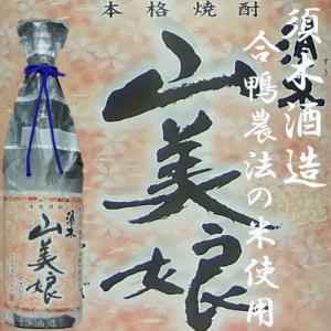 ヘネシー XO ビッグボトル 3000ml : お酒の大型専門店 河内屋 - 通販