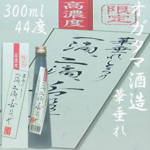 令和7年産1番茶のみ使用！「知覧茶」の100g×6本入り。【菊永茶生産