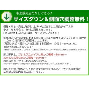 【おかもち】W500×H590×D485 アク...の詳細画像4