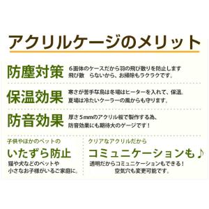 【プレミアム】W500×H590×D485 ア...の詳細画像1