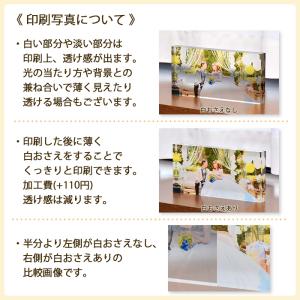 爆買 フォトアクリ 200mm×145mm 2...の詳細画像5