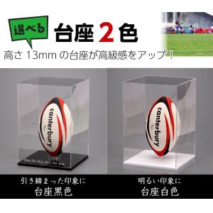 名入れ ラグビーボールケース ラグビーボールス...の詳細画像1