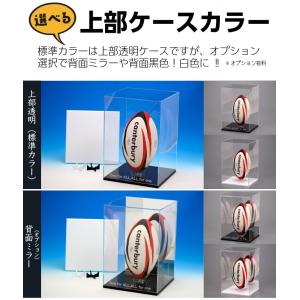 名入れ ラグビーボールケース ラグビーボールス...の詳細画像3