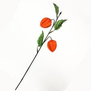 (造花・夏・仏花)ホオズキ / ほおずき・鬼灯...の詳細画像1