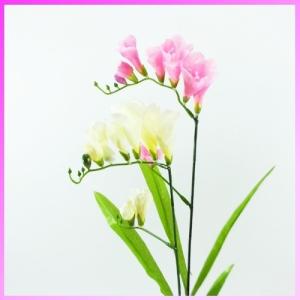 フリージア 花束の商品一覧 通販 Yahoo ショッピング