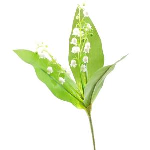 すずらん 花束の商品一覧 通販 Yahoo ショッピング