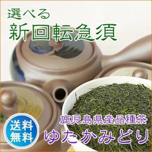 鹿児島茶 ユタカミドリ 150g お茶セット 急須セット 着いてすぐにおいしいお茶 ゆたかみどり＋選べるハケ目シリーズ