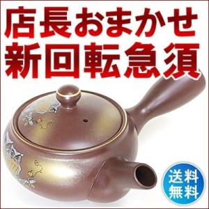 急須　一光作 常滑焼 玉光作細字彫 新回転急須 10人用 急須単品 ステンレス