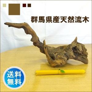 流木 販売 群馬 天然木 インテリア 中型 ryuboku-010｜akutsu-chaho