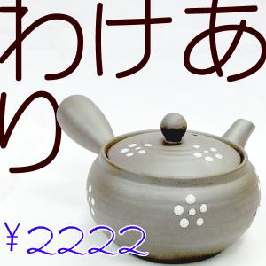 わけあり セール 急須 新回転急須 日本製ステンレス製の固定式茶こしアミ付
