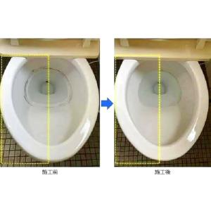 ベトコ ベストベット クレンザー トイレ 洗剤...の詳細画像3