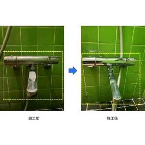 ベトコ ベストベット クレンザー トイレ 洗剤...の詳細画像4