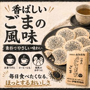 南部せんべい こわれゴマ煎餅 2.2kg 南部...の詳細画像2
