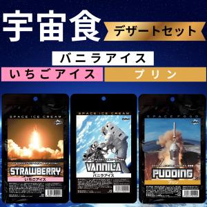 尾西食品 宇宙食 アイス セット バニラ いちご お菓子 デザート