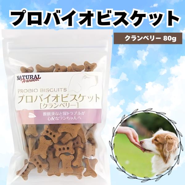 ナチュラルハーベスト プロバイオビスケット クランベリー 80g 1袋 犬 おやつ ご褒美 健康 ド...