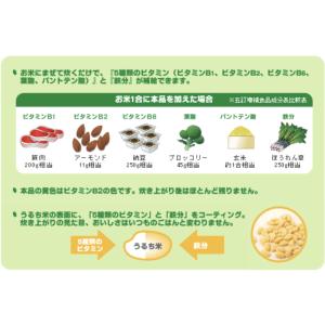 サプリ米 ビタミン 鉄分 カルシウム 各3袋 ...の詳細画像2