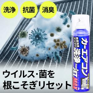 エバポレーター クリーナー 車 洗浄剤 カーエ...の詳細画像3