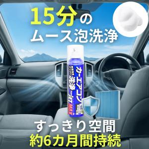 エバポレーター クリーナー 車 洗浄剤 カーエ...の詳細画像4