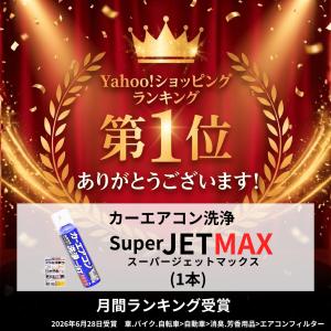 エバポレーター クリーナー 洗浄剤 車 カーエ...の詳細画像1
