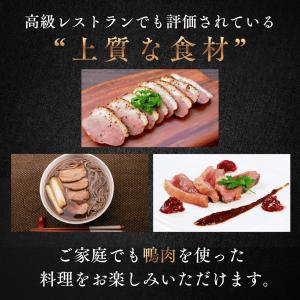 鴨肉 胸肉 冷凍 ロース マグレカナール 30...の詳細画像3