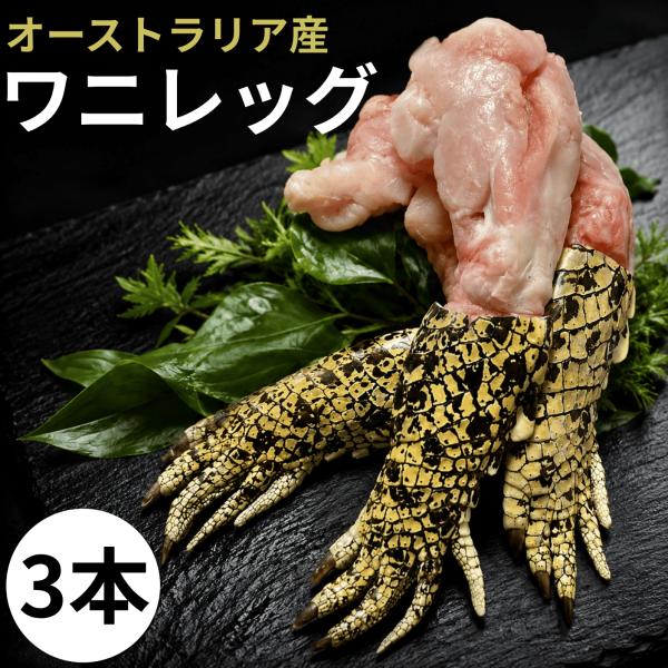 ワニ肉 鰐肉 食用 骨付き わに足 120〜170g 3袋 手 爪付き オーストラリア 豪州 ジビエ...