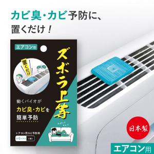 エアコン 掃除 グッズ カビ対策 カビ防止剤 置き型 カビ防止 日本製 ズボラ上等 エアコン用 1個入｜al-phax
