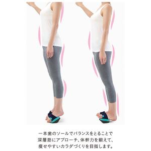 体幹 トレーニング スリッパ 体幹を鍛える バ...の詳細画像3