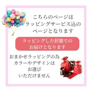 ラッピング込 体幹トレーニング 体幹 健康 ス...の詳細画像1