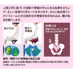 姿勢矯正 クッション 仙骨 サポート 腰痛 対...の詳細画像3