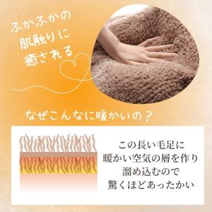 寝袋 冬用 冬 毛布 暖かい あったか グッズ...の詳細画像2