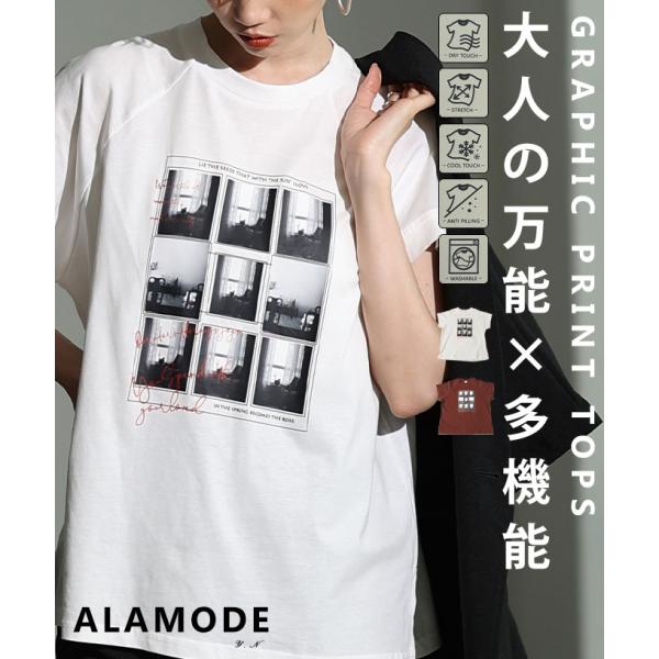 レディース トップス カットソー Tシャツ 茶 ブラウン オフホワイト 半袖 綿 コットン 接触冷感...