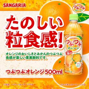 サンガリア つぶつぶオレンジ 500ml×24本の詳細画像3