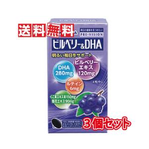 湧永製薬 プレビジョン ビルベリー&amp;DHA 120粒 3個セット