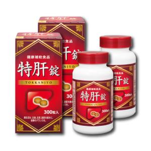 湧永製薬 特肝錠 300錠 2個セット