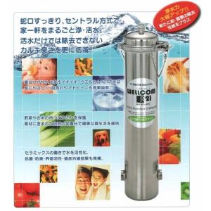 セントラル浄水器 Well21 ウエル21 G400N型用 カートリッジ 正規代理店 ウェル21 Well21pro G400N交換カートリッジ