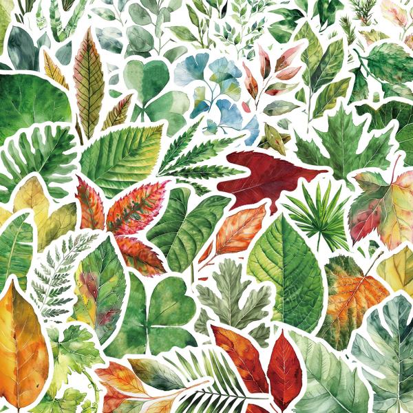 青もみじ　緑の紅葉　新緑　紅葉　もみじ　落葉広葉樹　落葉　秋　シール　ステッカー50枚WA