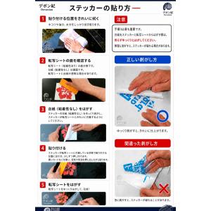 ピンナップガール ビキニ セクシー 美人 美女...の詳細画像4