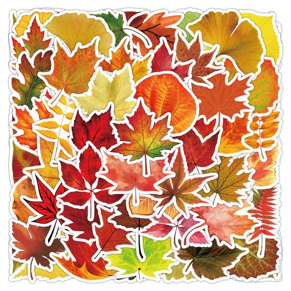 紅葉　もみじ　落葉広葉樹　落葉　秋　秋の季語　秋の物語　秋の装い　シール　ステッカー50枚XQ1