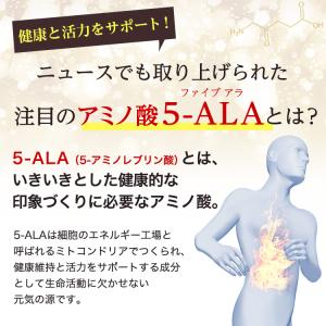 アラプラス ゴールド 90粒 30日分 2個セ...の詳細画像3
