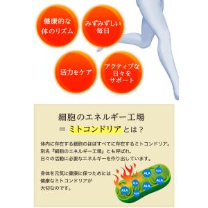 アラプラス ゴールド 90粒 30日分 2個セ...の詳細画像4