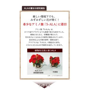 アラプラス ゴールド 90粒 30日分 2個セ...の詳細画像5