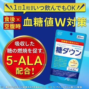 アラプラス 糖ダウン 3袋セット 賞味期限11...の詳細画像1