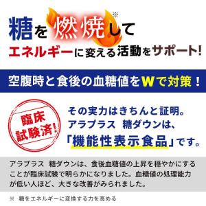 アラプラス 糖ダウン 3袋セット 賞味期限11...の詳細画像5