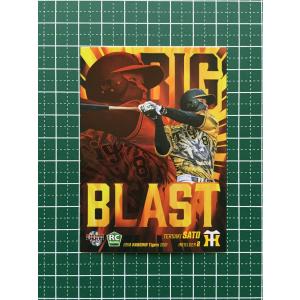 中日　立浪和義高級版カードセット　スペシャルカードセット8枚 中日 立浪和義高級版カードセット スペシャルカードセット8枚 中日 立浪