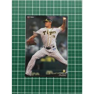 プロ野球チップス2005 カードホルダー＋カード36枚 プロ野球チップス